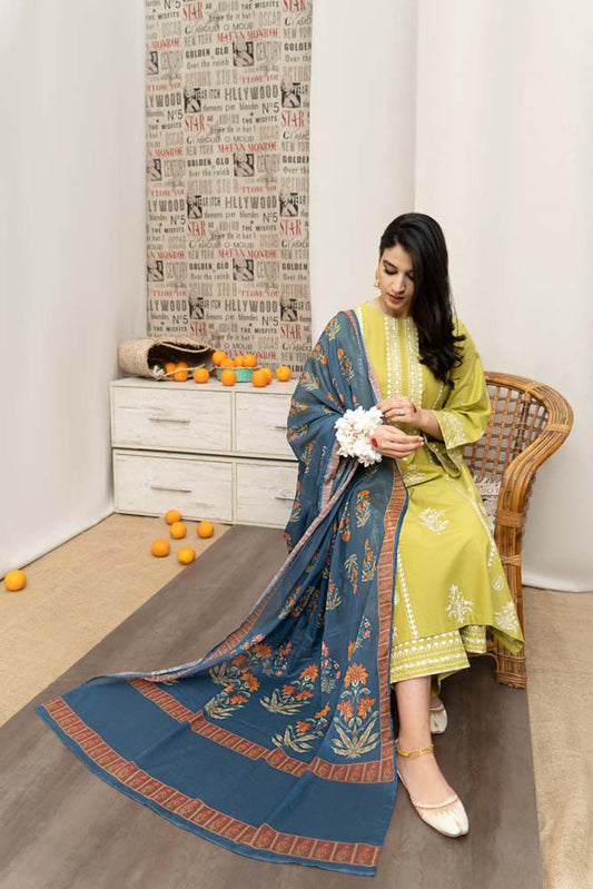 Dhanak embroiderid3Pcs suit with wool shawl