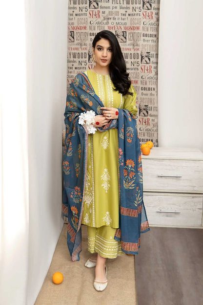 Dhanak embroiderid3Pcs suit with wool shawl