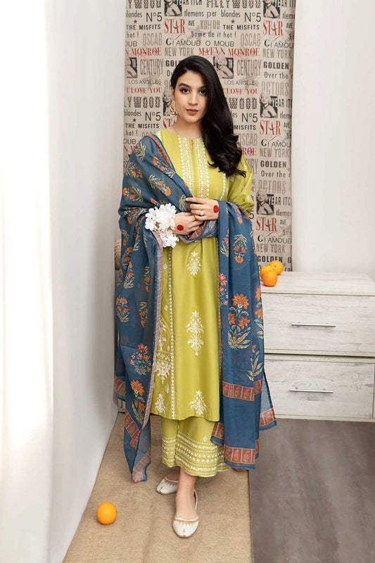 Dhanak embroiderid3Pcs suit with wool shawl